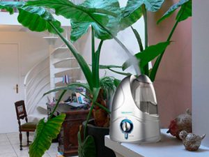 Увлажнение воздуха для комнатных растений